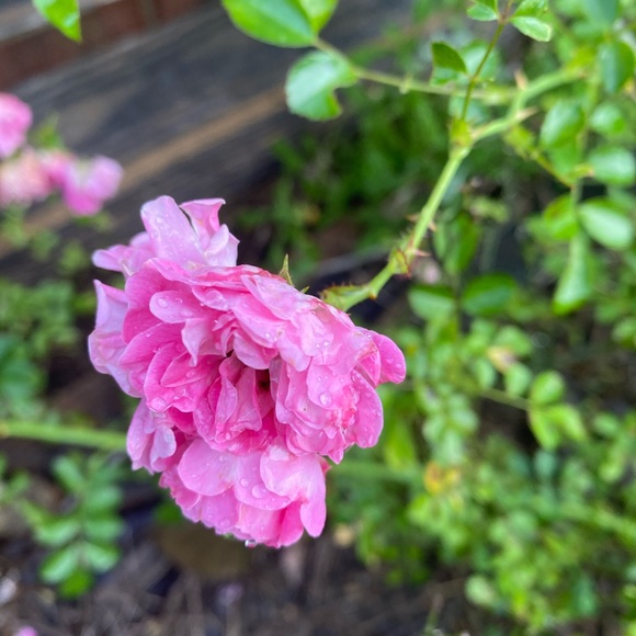 CLOSET CLOSING•SALE•make me any offer - Picture 16 of 16